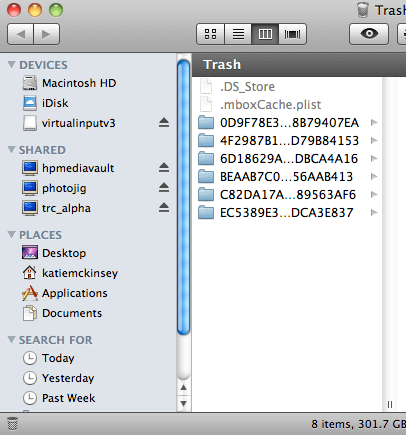 File In Trash .png
