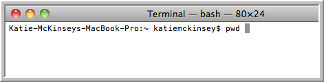 Terminal-PWD_1.png