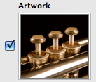 Artwork Appears in Info