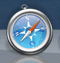 Safari Icon