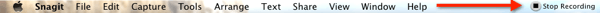 Stop Recording.png