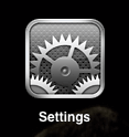 iPad Settings