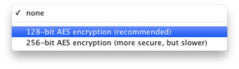 Encryption