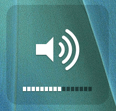 Volume Buttons