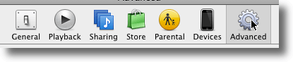 Click The Advanced Tab