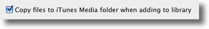 Copy Files To Media Folder