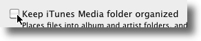 Don't Keep Media Folder Organized