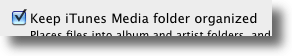 Keep Media Folder Organized