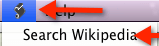 Search Wikipedia