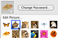 Icon.png