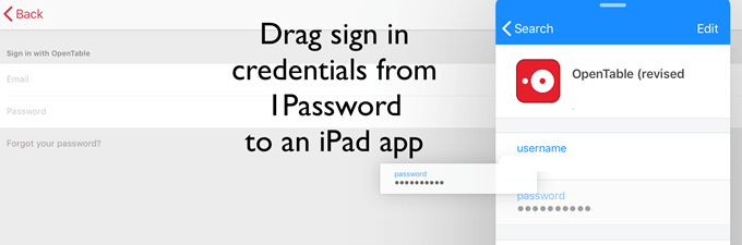 Drag sign-in credentials from 1Password into an iPad app