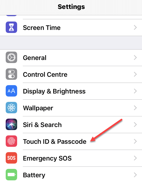 Touch ID & Passcode under Settings menu