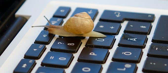 Snail on top of a MacBook keyboard