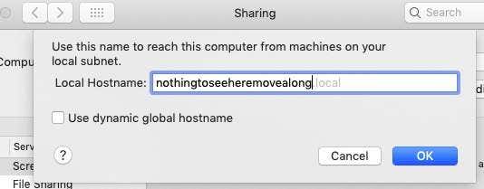 Sharing window with Local Hostname "nothingtoseeheremovealong" created
