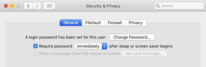 Security & Privacy General window with Require password selected set to "immediately"