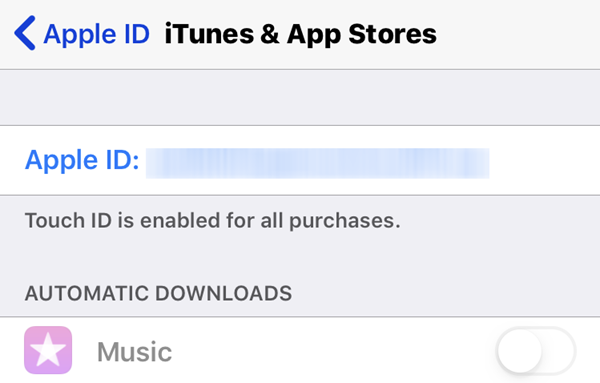 iTunes & App Stores settings under Apple ID menu