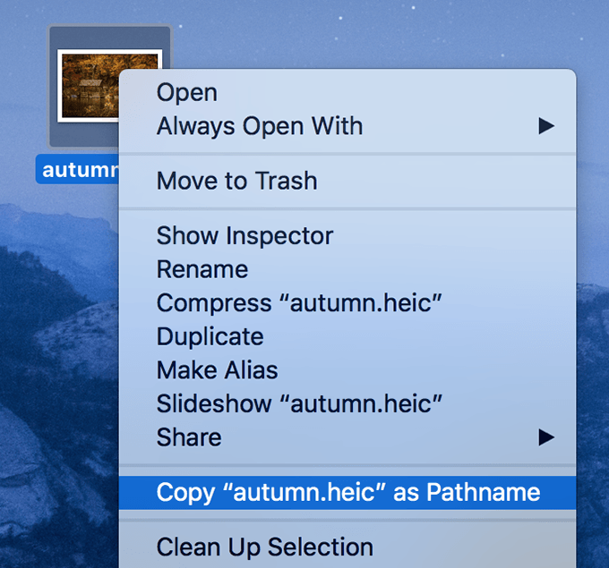 Right-click menu holding Option key reveals Copy as Pathname option
