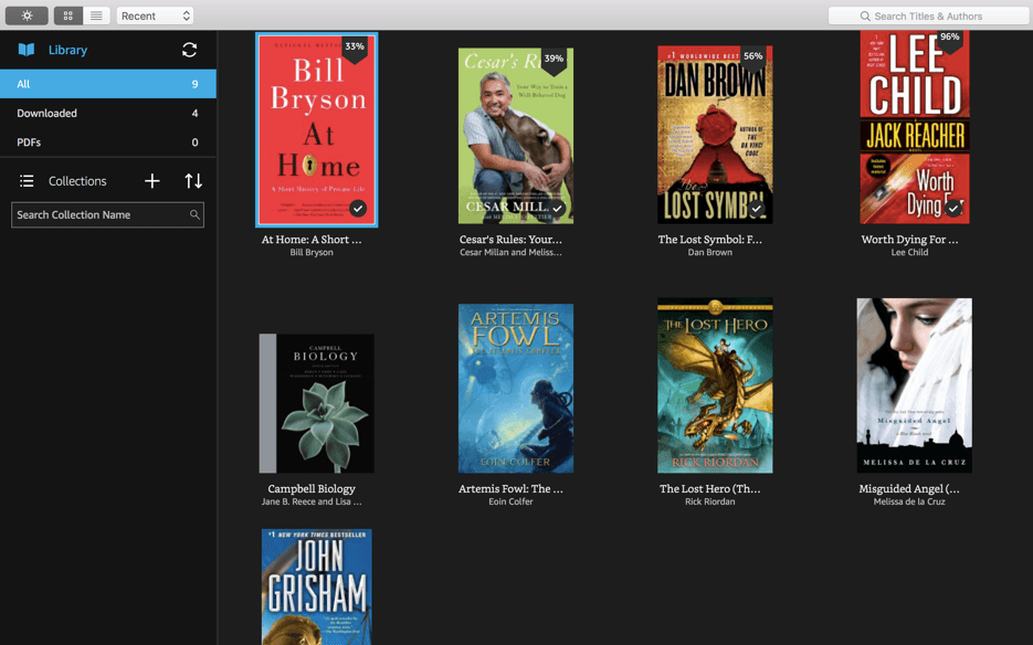 Kindle app window