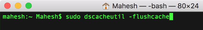Terminal window with command: sudo dscacheutil -flushcache
