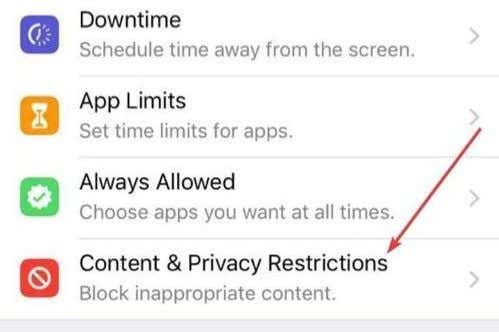 Content & Privacy Restrictions in main menu 