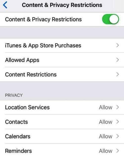 Content & Privacy Restrictions settings window