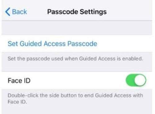 Set Guided Access Passcode under Passccode Settings