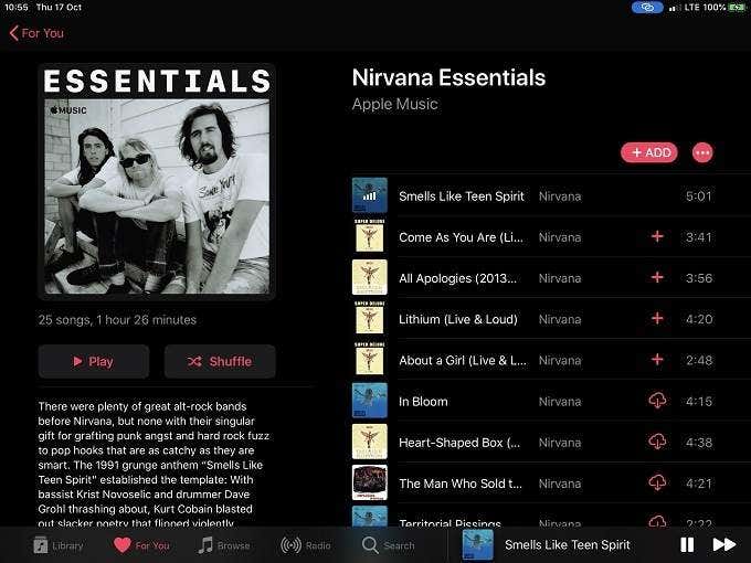 Nirvana Essentials in Apple Music