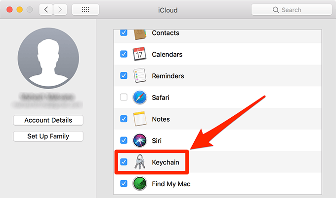 Keychain under iCloud settings