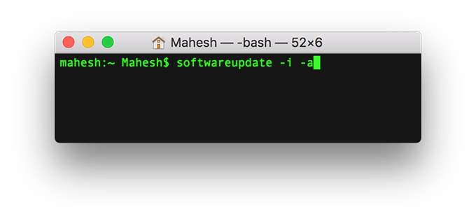 Terminal with command: softwareupdate -i -a