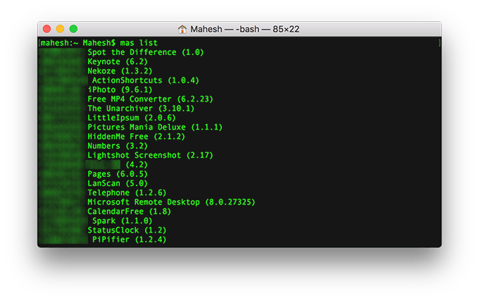 Terminal with mas list utility 