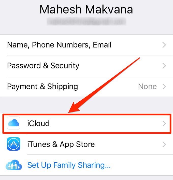 iCloud in user settings window