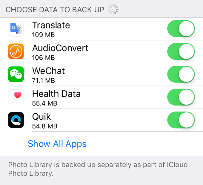 Choose Data to Back Up menu on iPhone
