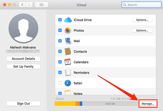 Manage button in iCloud Preferences window