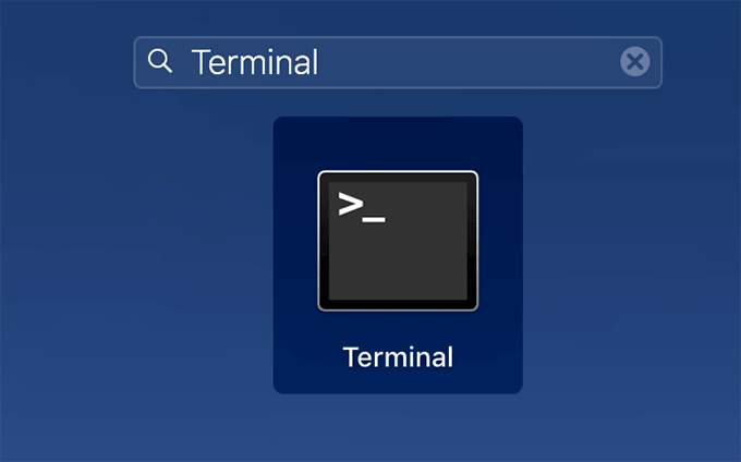Terminal in Search Bar