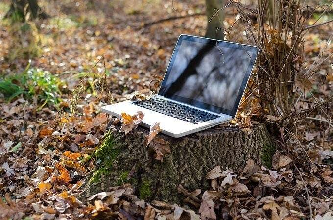 Mac laptop on a tree stump in the woods 
