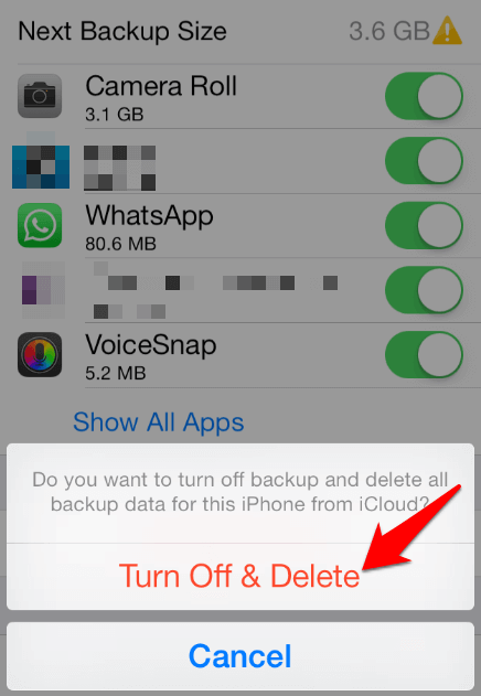 Turn Off & Delete popup window in iCloud Backup 