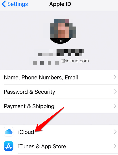 iCloud menu in Apple ID window 