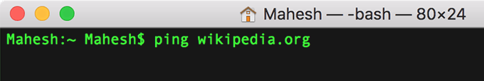 ping wikipedia.org in terminal window 