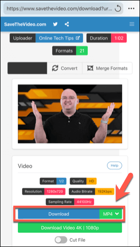 Download button on savethevideo.com website 