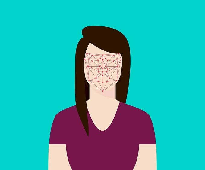 Drawing of someone's face with biometric ID sensor points