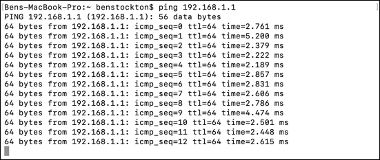 Ping command in terminal 