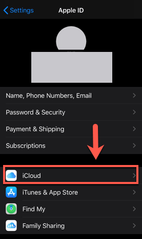 iCloud in Apple ID 