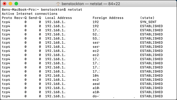 Netstat tool in terminal window 