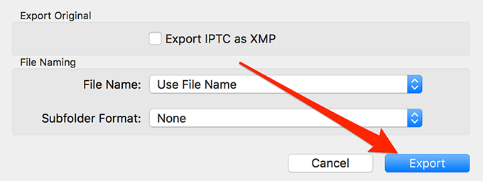 Export button 