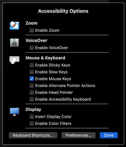 Accessibility Options with Enable Mouse Keys checkbox 
