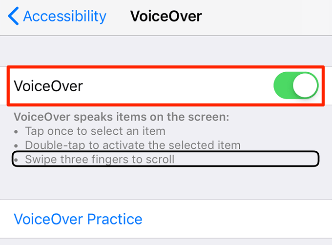 VoiceOver toggle