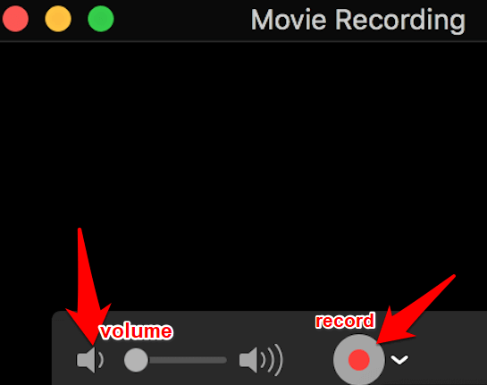 Volume and record button in Movie Recording window 