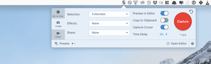 Annotation options in Snagit