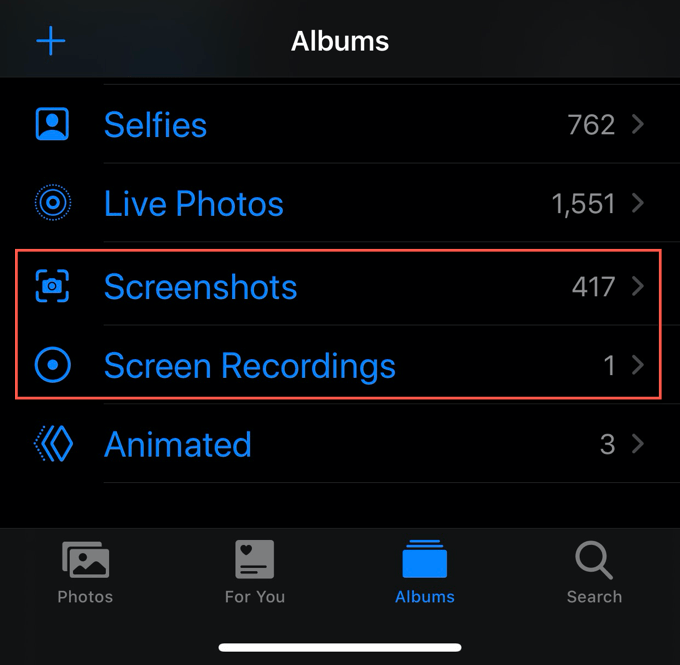 Screenshots and Screen Recordings in Albums 