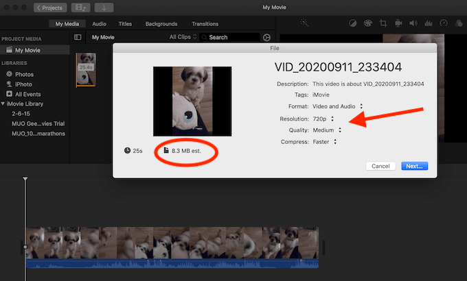 Resolution drop-down menu and file size in shared video window 